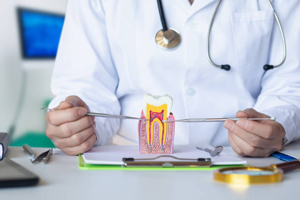 Best Emergency TMJ Treatment in Schaumburg, IL